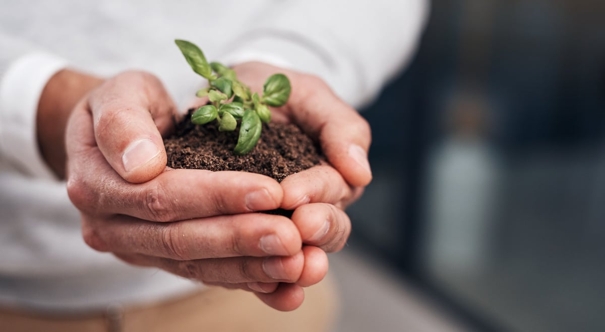 Cropped shot of a businessman holding a plant growing out of soil